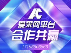 爱采网平台正式上线