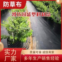 防草布厂家