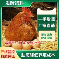 鸡发酵饲料