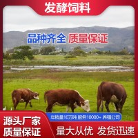 牛发酵饲料