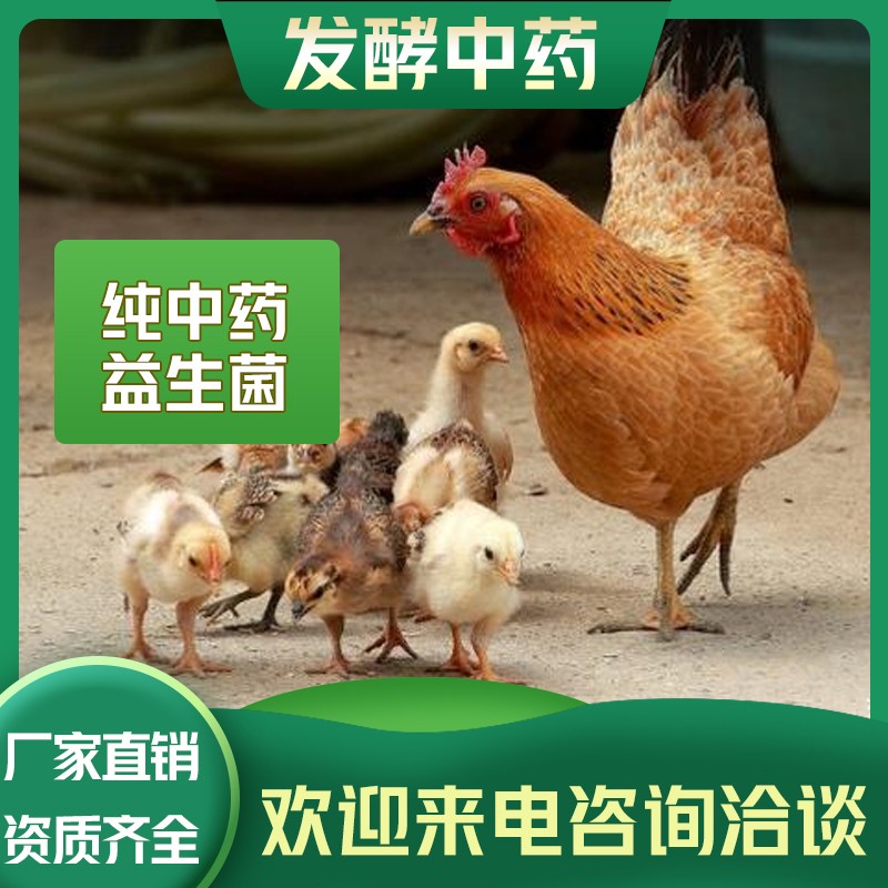 发酵中药排行榜