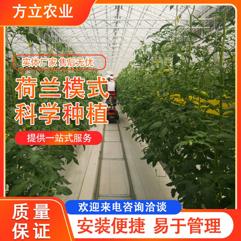 荷兰模式无土栽培
