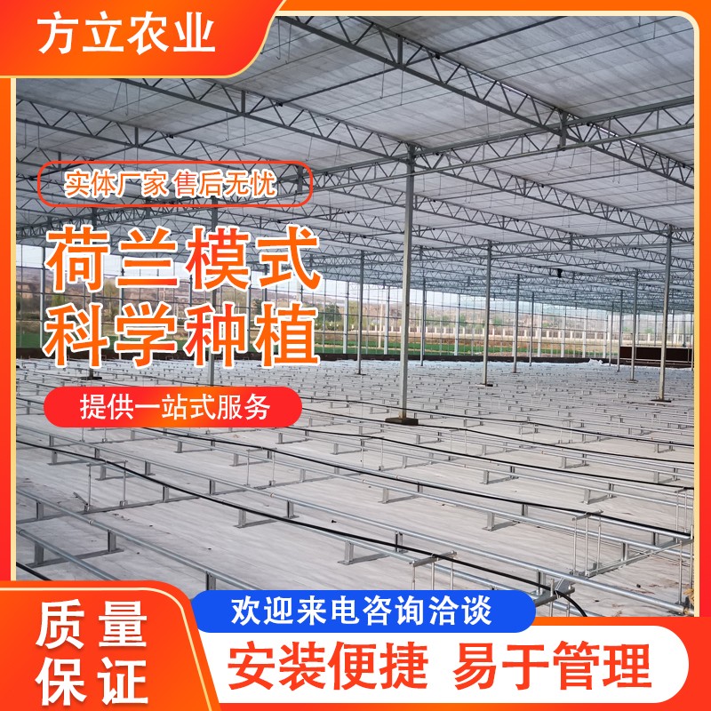 荷兰农业模式