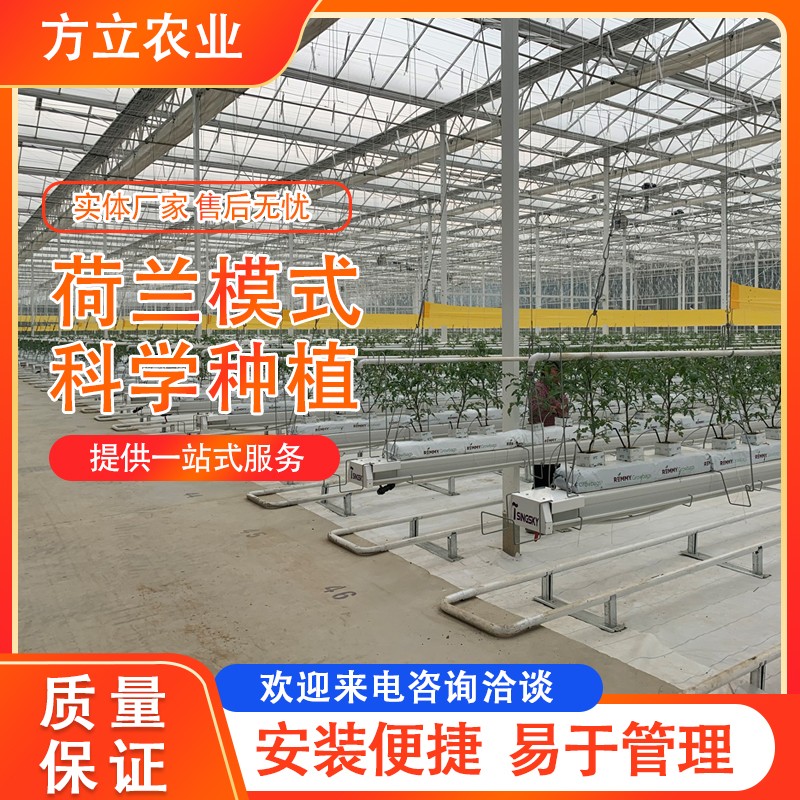 荷兰模式技术