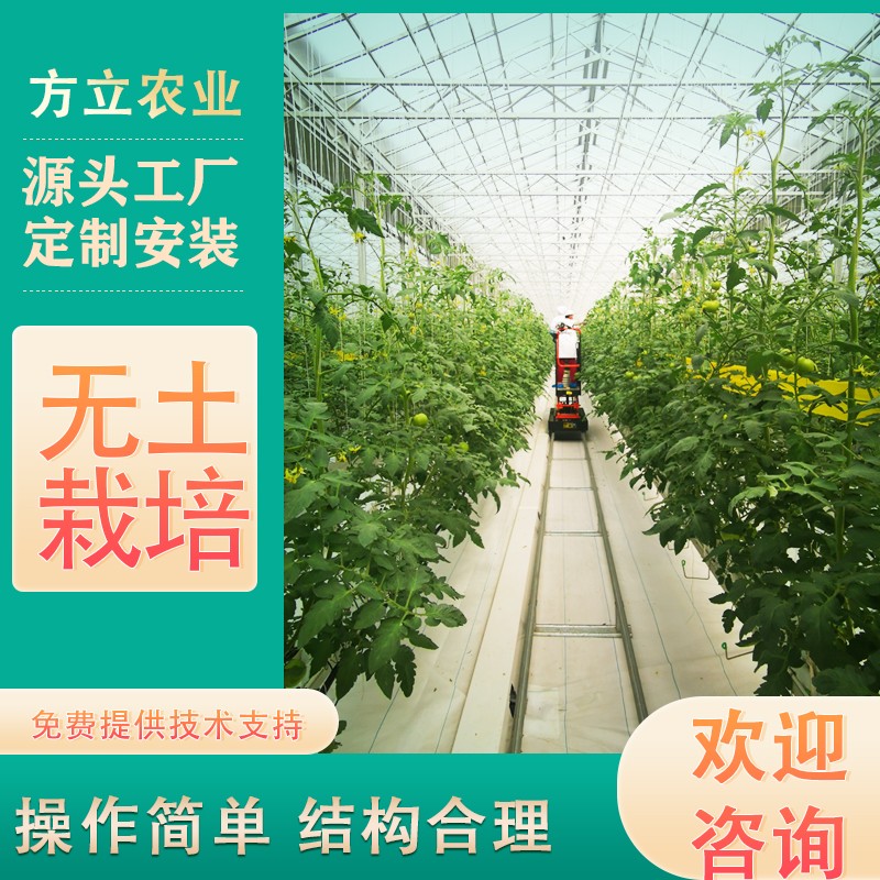 温室无土栽培