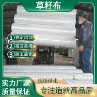 草籽布价格
