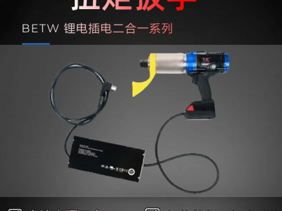 派泰（TAC-BEPT)高强度合金钢电动扭
