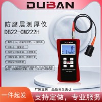 度班大量程防腐层测厚仪DB22-CM222H