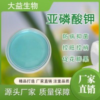 亚磷酸钾
