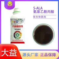 着色剂